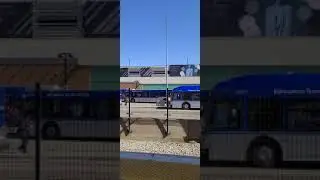 ETS 2020 New Flyer XD40 # 4955