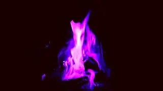 Violet Flame Campfire Visualization 1hr