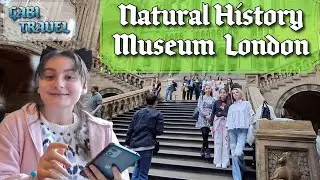  London - FREE Museums? | Natural History Museum