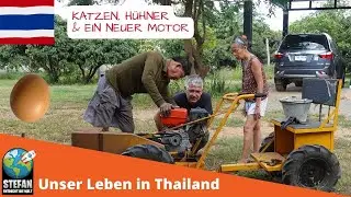 Katzen, H&uuml;hner & ein neuer Motor  #katzen  #eier  #thailand2022  #traktor  #plantage  #dorf  #farm