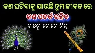 Pick a card Odia 🧿odia astrology 📌 Odia Tarot card reading