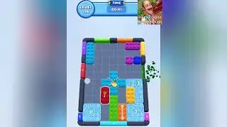 Color Block Jam Level 176