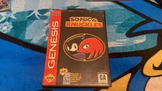 Custom Sonic & Knuckles plastic case