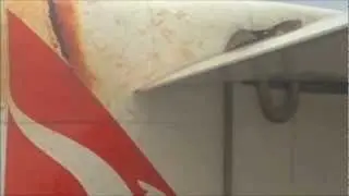 Snake on airplane wings during flight