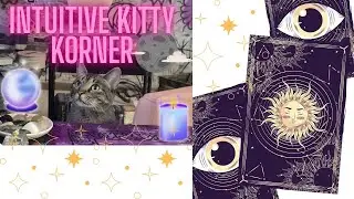 🐱🔮Intuitive Kitty Korner! Episode 10~ A choice is being presented to you, the choice is yours✨
