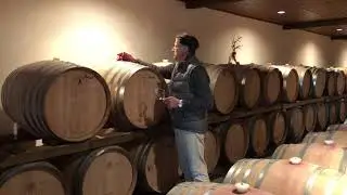 Hans Herzog Spirit of Marlborough - sneak peak.