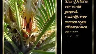 Druppels van gedachten