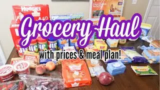 Walmart and Publix Grocery Haul | Weekly Groceries & Meal Plan | Budget Grocery Haul With Prices!