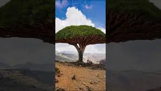 7 MYSTERIOUS PLACES