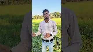 ये भाई ने क्या बोल लहसुन की खेती के बारे में कैसे होती है लहसुन की खेती 🤔