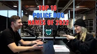 Top 10 Police Dog Names of 2022 | K9 Storm Inc.