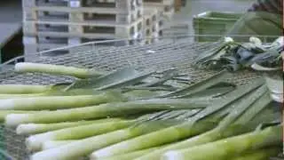 Betriebsvideo Gemüse Käser & Co. (Schweizerdeutsch)