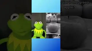 What Color Is The Green Apple Kermit The Frog Reaction Tiktok #kermitthefrog #tiktok #funnyvideo