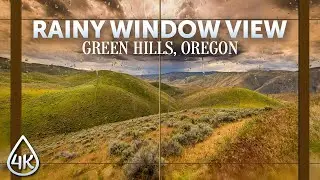 Rain Sound Therapy - 4K Virtual Window to Nature - Thunderstorm Ambience of Green Hills, Oregon