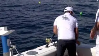 Fipsas   29 Campionato Italiano Big Game Tuna Fishing  Jesolo