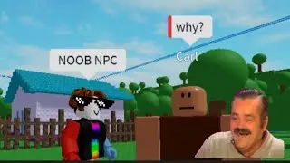 NPC STUPID FUNNY MOMENTS