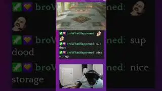 This voice acting is really good | #shadowmwape on #Twitch