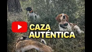 Caza de perdiz y liebre en Valencia/ Caza con perros/ Calibre 20