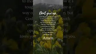 Do Not Give Up Prayer #god #quotes #shorts #short #dontskip #strongprayer #prayer #faith #jesus #