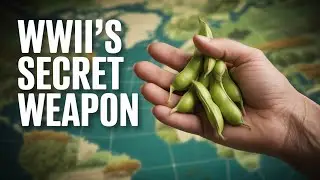 Why WWII Seed Pods are the SECRET to FOOD SECURITY for Generations