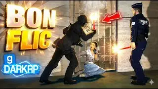 POUR UNE FOIS QUE LA POLICE FAIT SON TRAVAIL - GMOD DarkRP FR