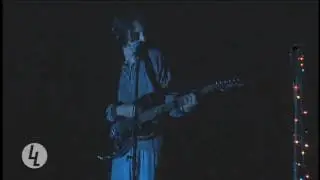 Local Live: Nader and the Trees - Disappear Here