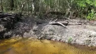 Clarkco State Park Part 2 - Hiking