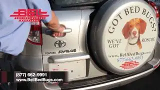 &laquo;Где Роско (собака, которая ловит клопов)?&raquo; &mdash; рекламный ролик компании Bell Environmental.