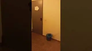 video paranormal real (turno de noche dia 2)