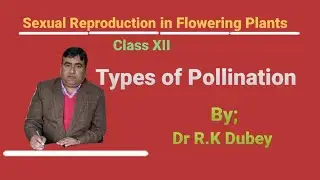 Types of Pollination || Class 12 Ch 02: Sexual Reproduction in Flowering Plants