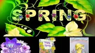 Happy Spring Season Wishes,Greetings,E-card,Animated Whatsapp Video
