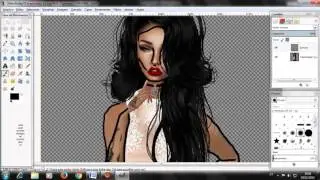 Edi&ccedil;&atilde;o no gimp Brasil