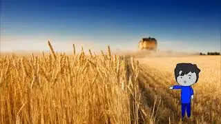 How do you corner a market? What are the benefits of cornering a market? What are the risks?