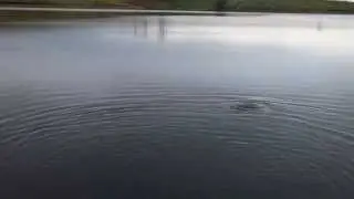 Andrew Toft fly fishing