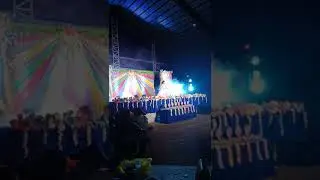 Gown little miss lnw 2018 zx