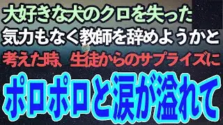 大好きなペットのクロを失った私。同僚には「たかがペットですよね？」と言われ、教師を辞めようかと落ち込んでいたある日。生徒からの思いがけないプレゼントに涙が止まらず