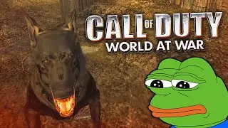 Call of Duty World at War 13 YEARS LATER... (WaW in 2021 on PC)