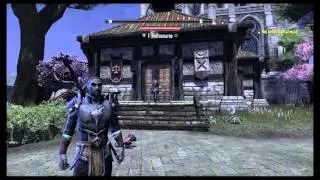 Provisioning 1-50 Complete Guide - Elder Scrolls Online
