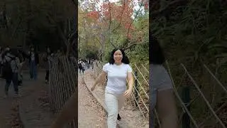 Unsa mani deli mani video ay video mani unsay tinood