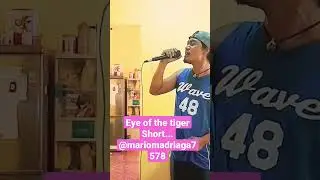 #eyeofthetiger #shorts #viralshort #cover #survivor @mariomadriaga7578