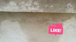 My fast  volog plaster design@ video editor Sabir 1
