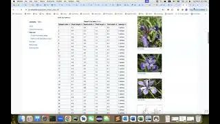 L03 - Machine Learning Basics - Classification
