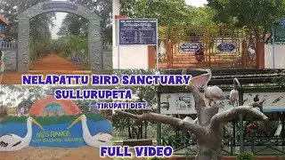 NELAPATTU BIRD SANCTUARY#birds#sanctuary#village#crops#american birds#animals#view point#trees