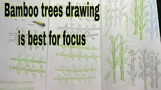Bamboo trees drawing best for beginner to create interest in drawing @fashionishta #drawing