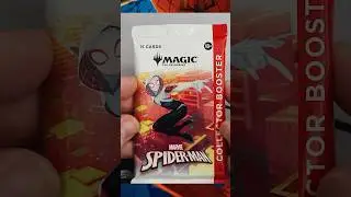 PROFIT or LOSS? | MTG Spider-Man Collector Booster Opening!