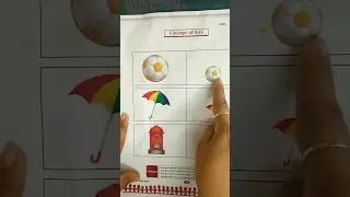 Concept of Size | Big & Small