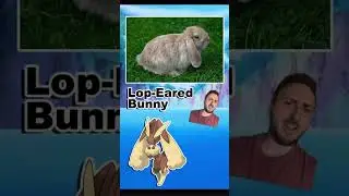 Pok&eacute;mon Names You Might Be Saying Wrong