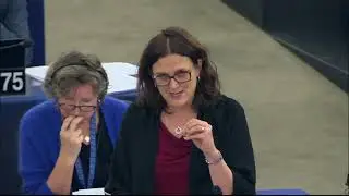 Measures to address the impact on European agriculture of the WTO ruling on the Airbus dispute