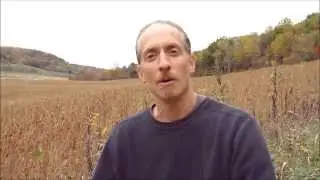 What's Wrong With Modern Agriculture?