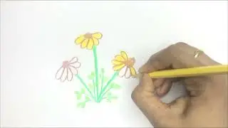 How to draw a flower step by step | Easy drawing with pencil and coloured it